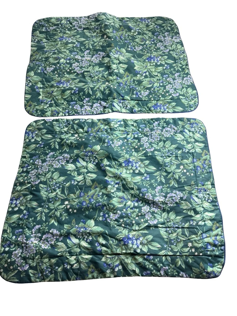 Laura Ashley Shams Bramble Berry Pillow Shams Quilted StandardGreen Floral Vtg